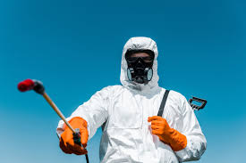 Professional Pest Control in Anson, TX